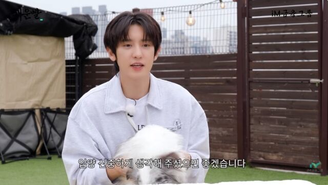 유튜브 채널 'iM타운'./유튜브 채널 'iM타운'