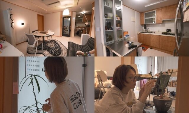 MBC '나 혼자 산다'