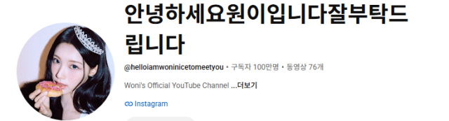 원이의 유튜브 채널이 구독자 100만을 기록했다. / 유튜브 '안녕하세요원이입니다잘부탁드립니다' 캡처