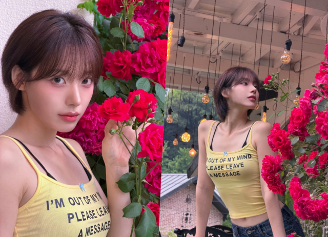 하지원 / 소셜미디어