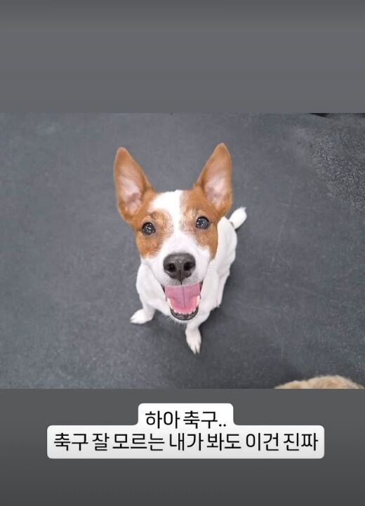 그룹 슈퍼주니어 김희철이 게재한 사진./김희철 소셜미디어