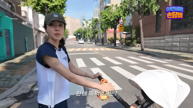 유튜브 채널 '담비손'