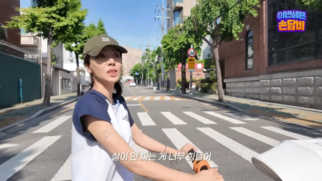 유튜브 채널 '담비손'
