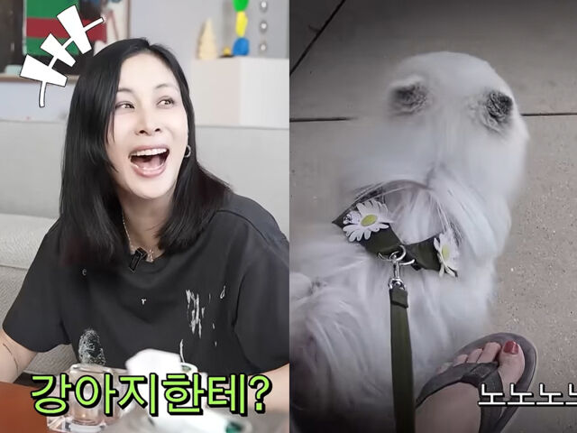 “张东健♥” 高素英，为什么她会和狗狗说英语：“因为我的孩子们太敏感了……” [高素英]