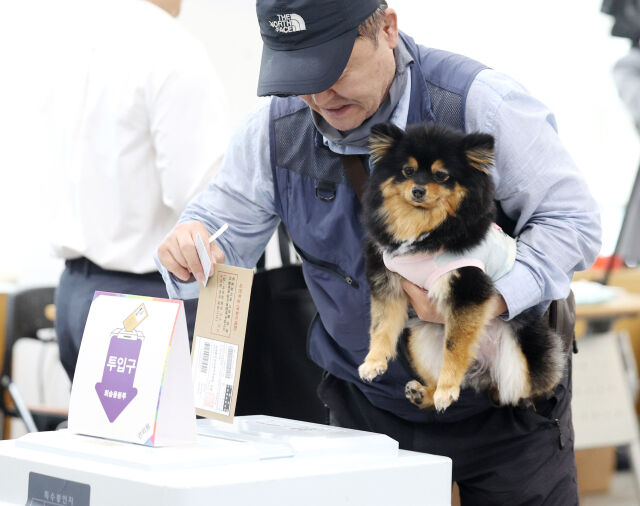 지난해 5월 29일 서울 중구 중림동주민센터에 마련된 제21대 대통령선거 사전투표소에서 한 유권자가 강아지와 투표를 하고 있다. /뉴시스