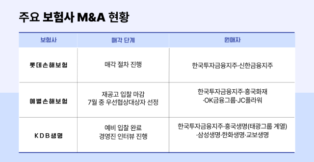 주요 보험사 M&A 현항. /그래픽=정수미 기자