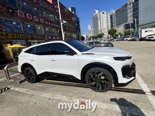 르노 필랑트 측면부. /심지원 기자