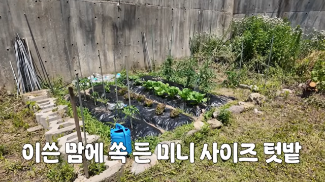 홍현희, 제이쓴./유튜브 채널 '홍현희 제이쓴의 홍쓴TV'