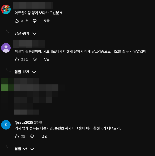 네티즌 댓글./유튜브 '빠니보틀'
