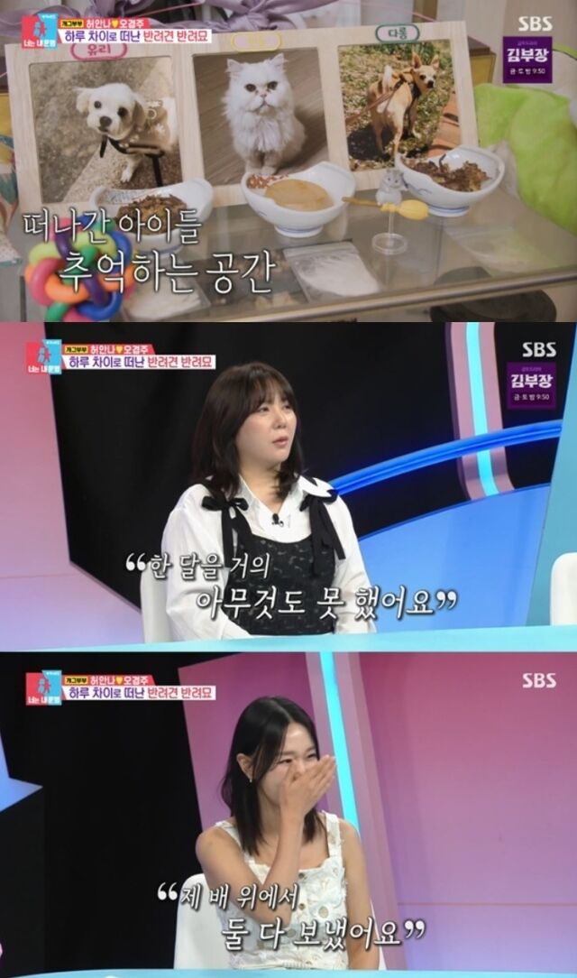개그우먼 허안나가 오랜 시간 함께해 온 반려견과 반려묘를 하루 차이로 모두 잃은 가슴 아픈 사연을 고백하며 끝내 눈물을 쏟아냈다./SBS '동상이몽 2 - 너는 내 운명'