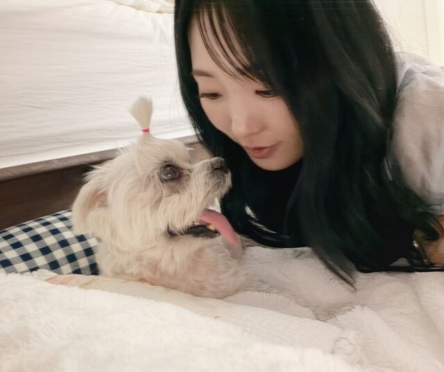그룹 씨야 멤버 이보람이 반려견과 영원한 이별을 맞이했다. / 이보람 소셜미디어