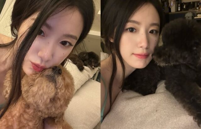 슈화는 품에 안긴 갈색 푸들에게 입을 맞추듯 다정하게 얼굴을 맞대는가 하면, 침대 위 검은색 푸들과도 눈을 맞추며 영락없는 '도치맘'의 면모를 보였다./슈화 소셜미디어