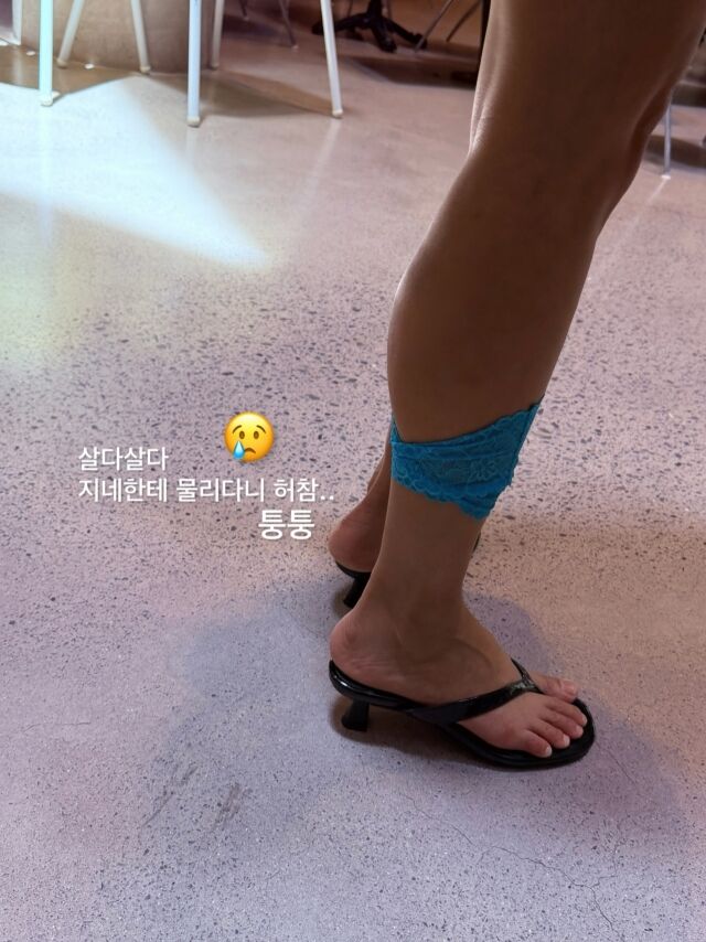 / 진재영 SNS