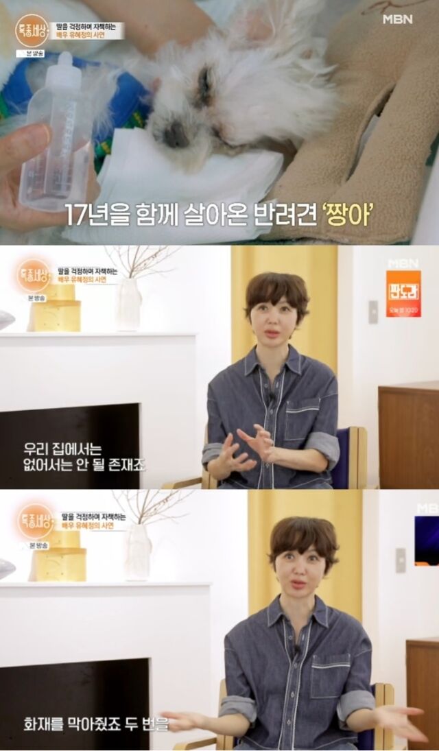 배우 유혜정이 불길 속에서 친정어머니의 목숨을 구하며 가족의 영웅이 된 반려견 짱아를 향한 깊은 사랑을 고백했다. / MBN 밀착 다큐 프로그램 '특종세상'
