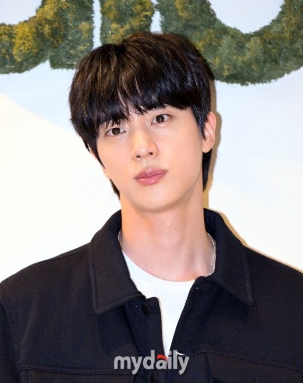 방탄소년단(BTS) 진./마이데일리