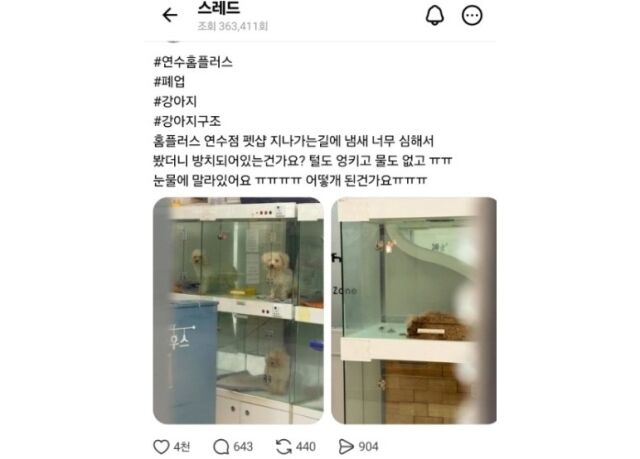 /온라인 커뮤니티 캡처