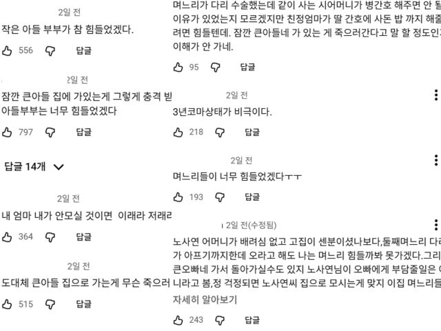 노사연의 사연에 갑론을박 댓글이 달렸다. / 온라인 커뮤니티
