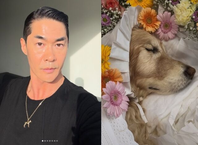 배정남은 지난 23일 자신의 개인 채널에 분홍, 노랑, 주황빛 꽃들로 둘러싸인 채 흰 천을 덮고 편안히 눈을 감은 반려견의 모습이 담긴 사진과 영상을 올렸다./배정남 소셜미디어