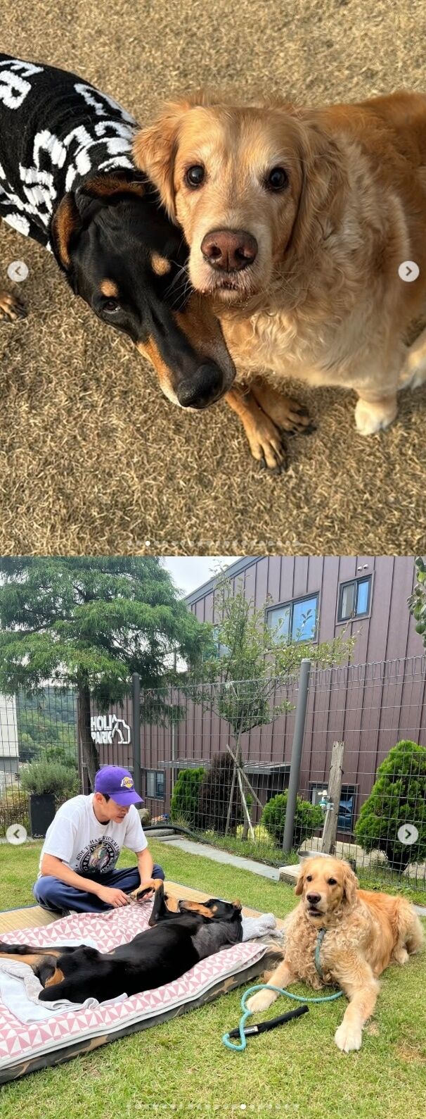 배우 겸 모델 배정남이 딸처럼 아끼던 반려견 벨을 떠나보낸 지 불과 10개월 만에 또 한 번 비보를 전했다. 반려견 대원이가 무지개 다리를 건넜다. 생전에 벨과 대원이./배정남 소셜미디어