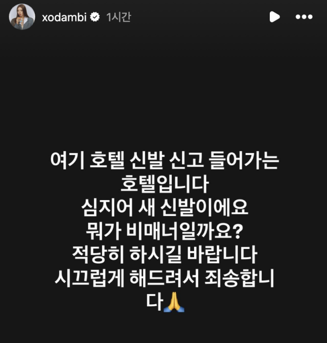 손담비가 자신을 둘러싼 '호텔 비매너' 논란에 대해 직접 입장을 밝혔다. / 손담비 SNS