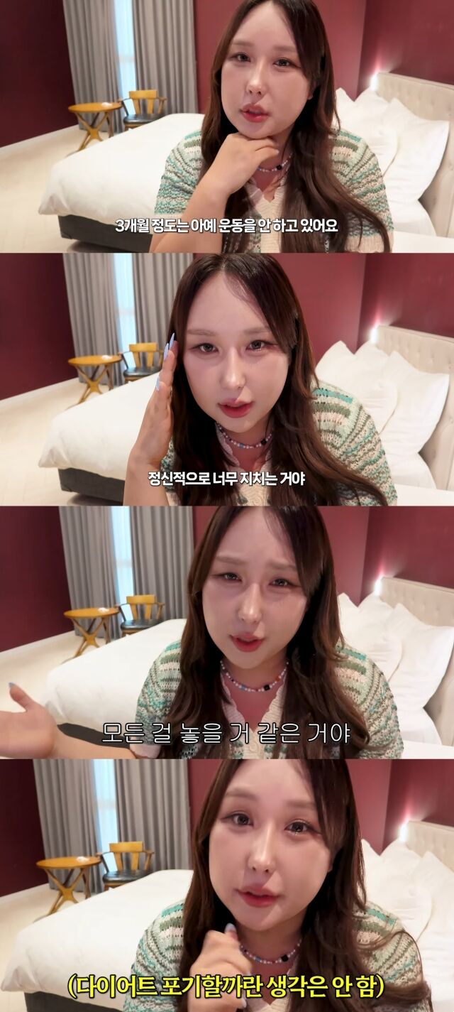 유튜브 채널 '풍자테레비'./유튜브 채널 '풍자테레비' 영상 캡처