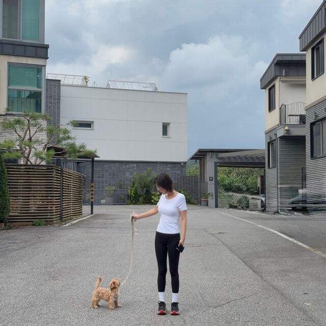 / 신지 SNS