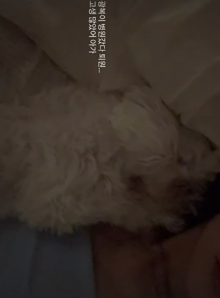 이솔이 SNS
