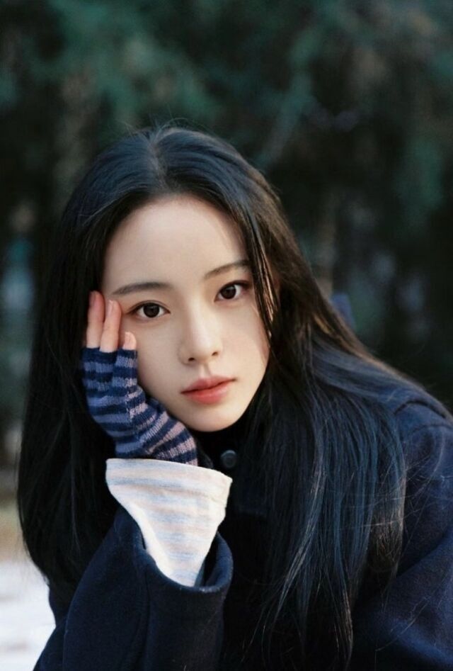 슈이