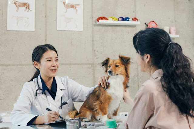 /게티이미지뱅크