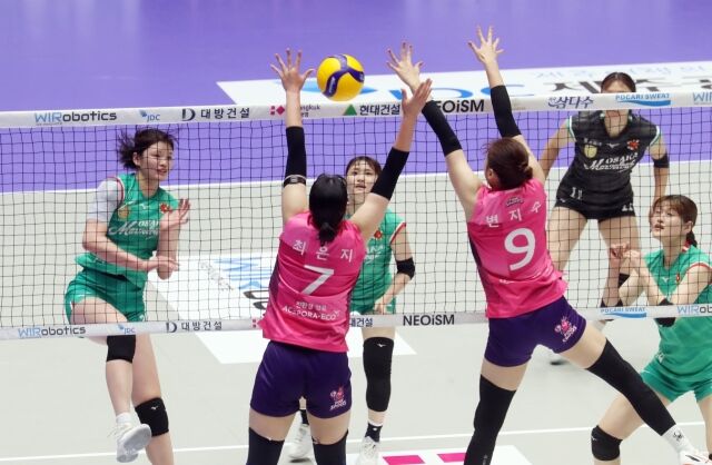 오사카 마블러스가 1일 제주 한라체육관에서 열린 '2026 제주 한중일 여자배구 탑클럽 슈퍼매치' 흥국생명전에서 환호하고 있다./KBSN 제공