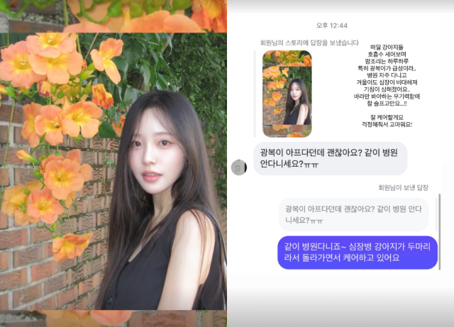 이솔이가 최근 불거졌던 불화설을 다시 한번 일축하며 반려견들을 함께 돌보고 있는 근황을 전했다. / 이솔이 SNS