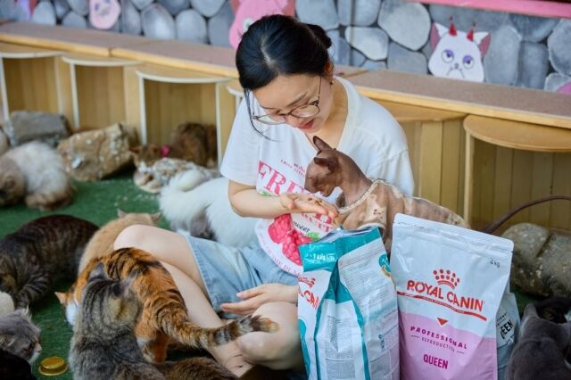 /로얄캐닌코리아