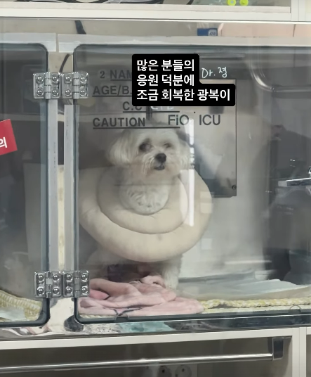 박성광 SNS
