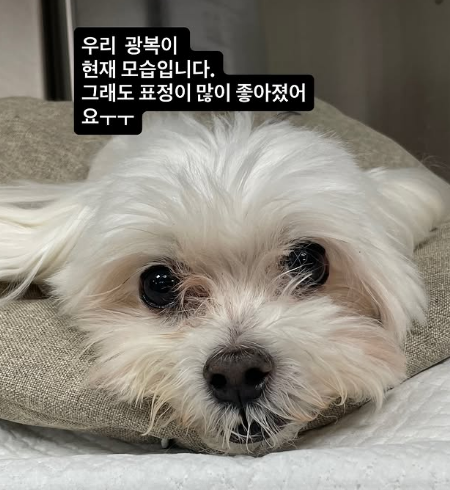박성광 SNS