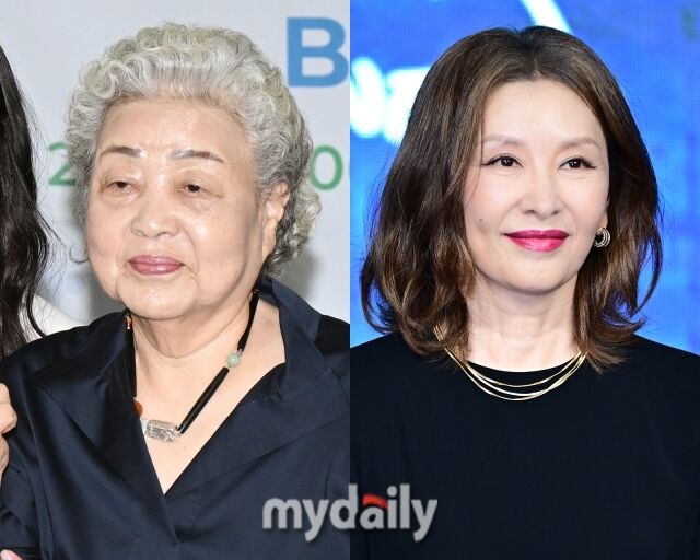 배우 강부자, 배우 이미숙./마이데일리
