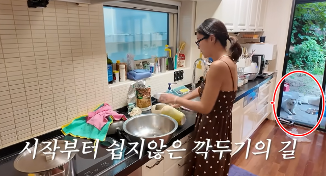 황정음 유튜브 영상에서 반려견들이 주방과 연결된 마당에서 누워서 휴식을 취하거나 야외에 머무는 듯한 정황이 포착되며 여론이 들썩이기 시작했다. /유튜브 채널 '황정음'