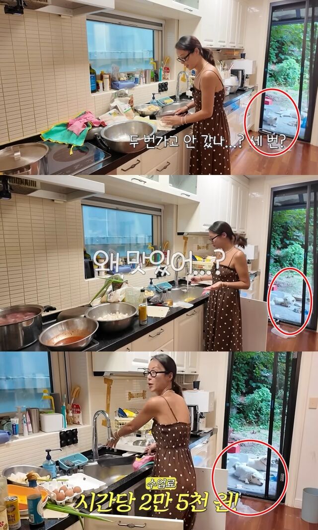 배우 황정음이 최근 일상 영상으로 인해 뜻밖의 반려견 양육 논란 중심에 섰다./유튜브 채널 '황정음'