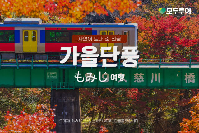 /모두투어