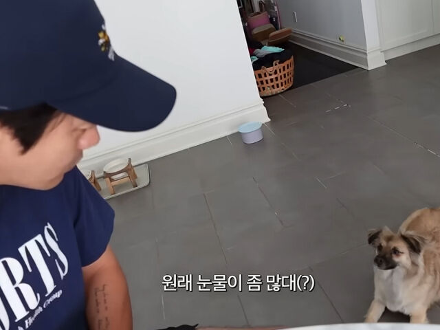 권상우가 반려견의 눈물에 당황해했다. / 유튜브 'Mrs. 뉴저지 손태영'