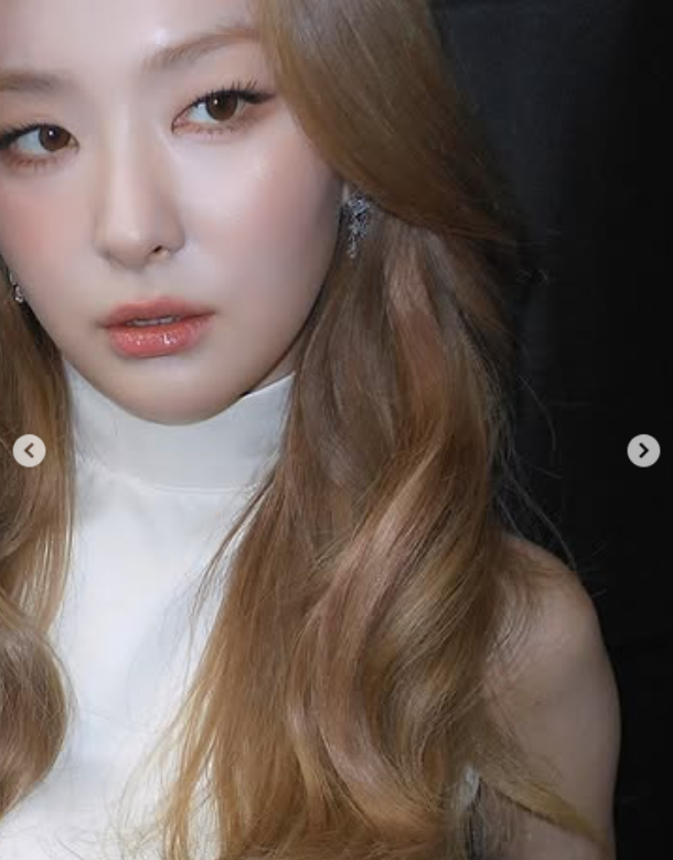 레드벨벳 슬기는 매력적인 무쌍꺼풀 눈매를 강조한 또렷한 아이라인과 그윽한 음영 메이크업으로 깊이 있는 눈빛을 완성했다. /슬기 소셜미디어