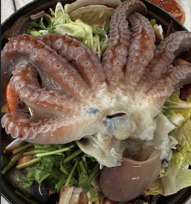 속초 문어찜 /소셜미디어