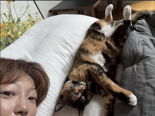 이엘과 반려묘/소셜미디어