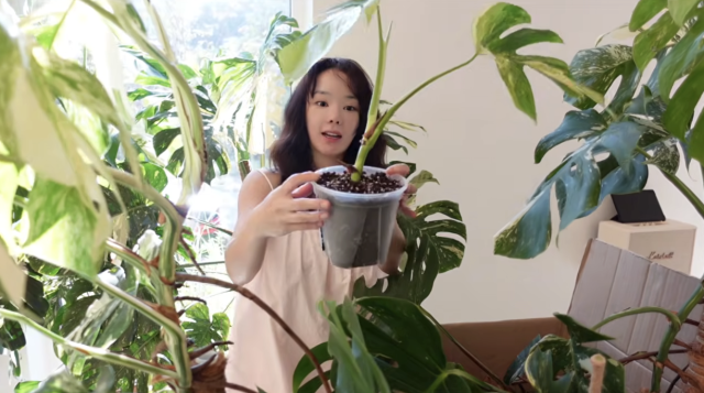 서우가 전남 담양에 위치한 지인의 집을 공개하며 여유로운 여름휴가를 즐겼다. / 유튜브 채널 '안녕하 서우'