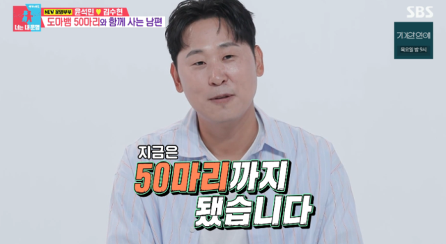 야구선수 출신 윤석민은 집 안 방 하나를 통째로 도마뱀 전용 공간으로 사용하며 무려 50마리의 도마뱀과 동거 중이다. /SBS 예능 ‘동상이몽 시즌2 – 너는 내 운명’