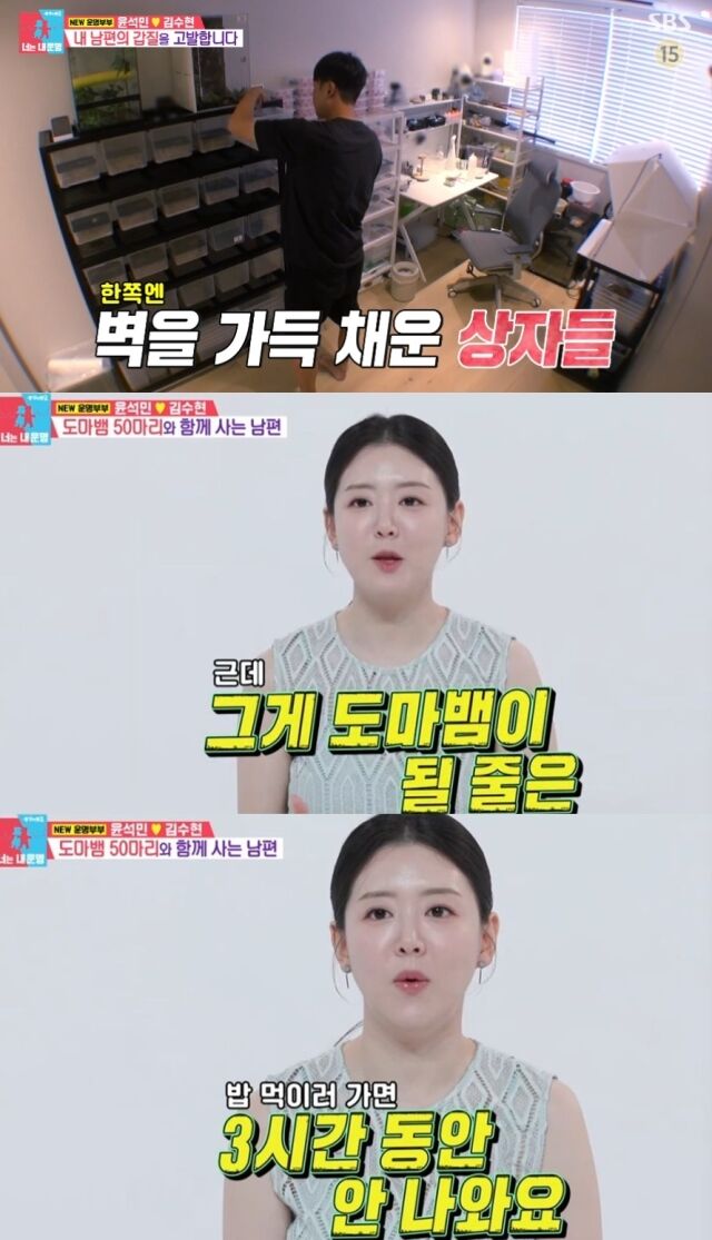 전 야구선수 윤석민과 김수현 부부가 방송을 통해 11년 차 결혼생활을 전격 공개한 가운데, 윤석민의 남다른 '도마뱀 사랑'이 화제를 모았다./SBS 예능 ‘동상이몽 시즌2 – 너는 내 운명’