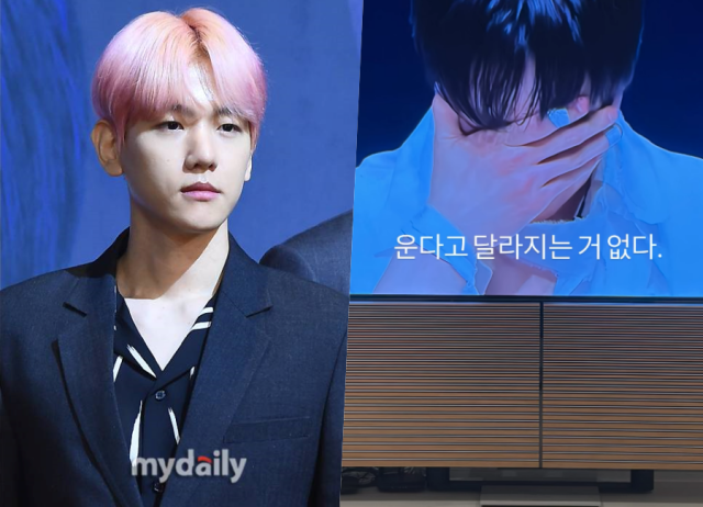 백현 / 마이데일리, 소셜미디어