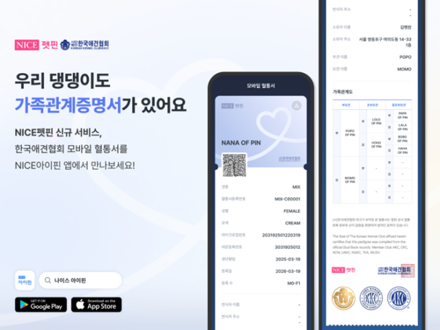 / NICE평가정보