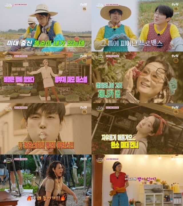 / tvN '언니네 산지직송3'