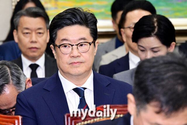 지난해 정무위원회 국정감사 증인으로 출석한 MBK 김병주 회장. /마이데일리