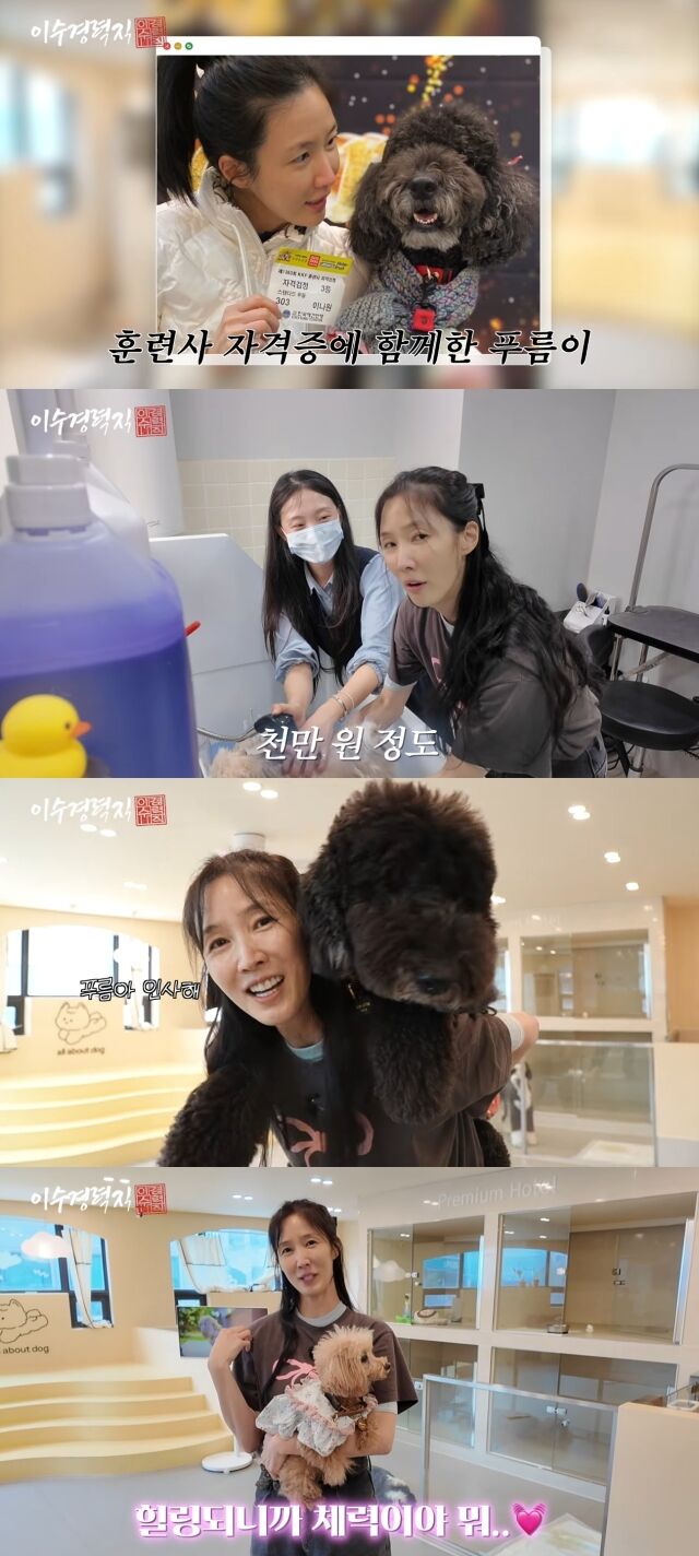 유튜브 채널 '이수경력직'./유튜브 채널 '이수경력직' 영상 캡처